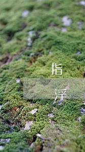 指導(dǎo)案例：為推銷男性保健品，利用淫穢物品招攬顧客構(gòu)成什么罪？